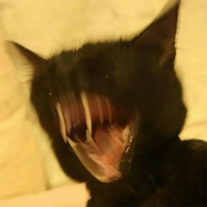 This Group Is All About Sharing "Cursed Images", And Here's 34 Of The Most Bizarre Ones 