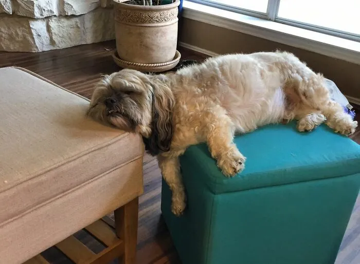 I'll Sleep Anywhere