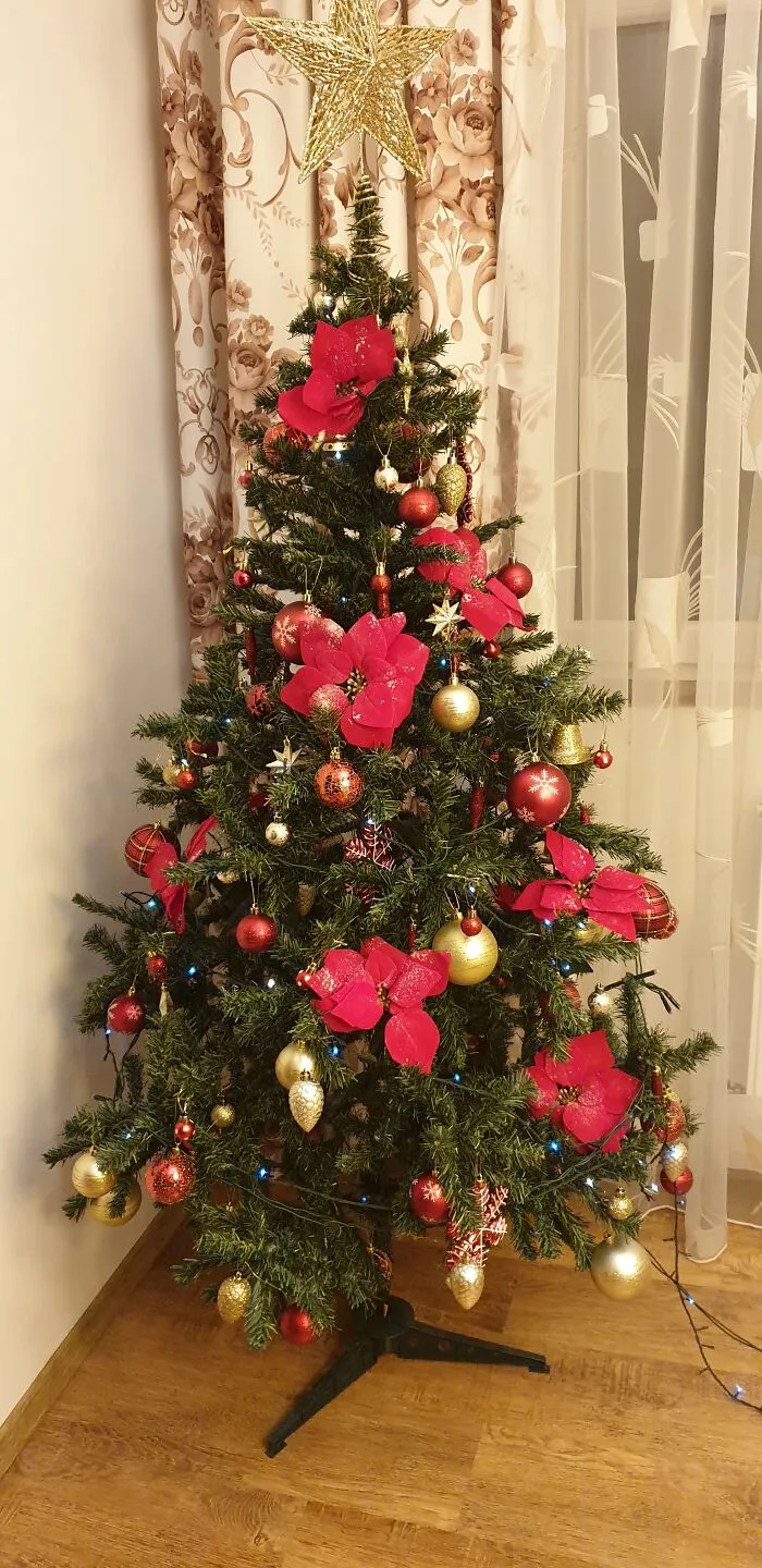 My Beautiful Tree