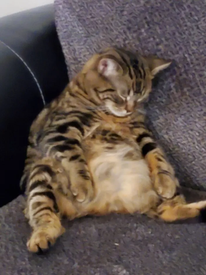 This Is Thor -Demi God. Exhausted After A Day Of Saving The World