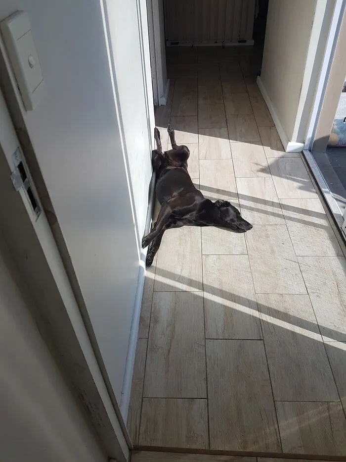 Having A Snoozzzzzzzzzz