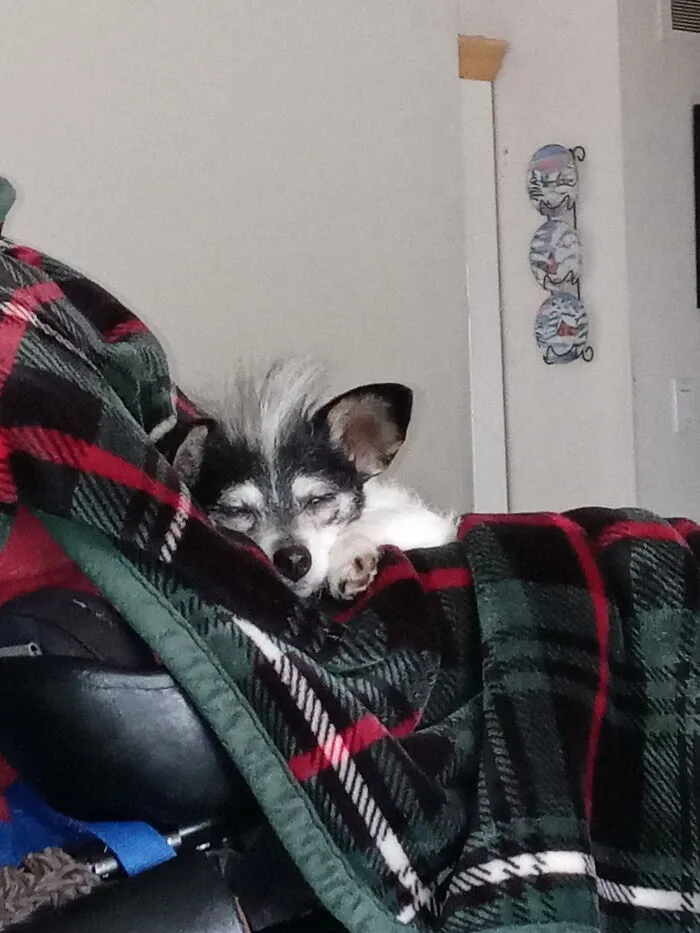 Russell Cuddle