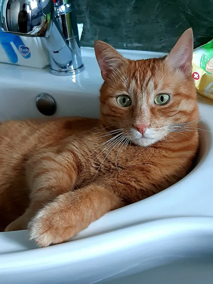 My Sweet Boy🥰
