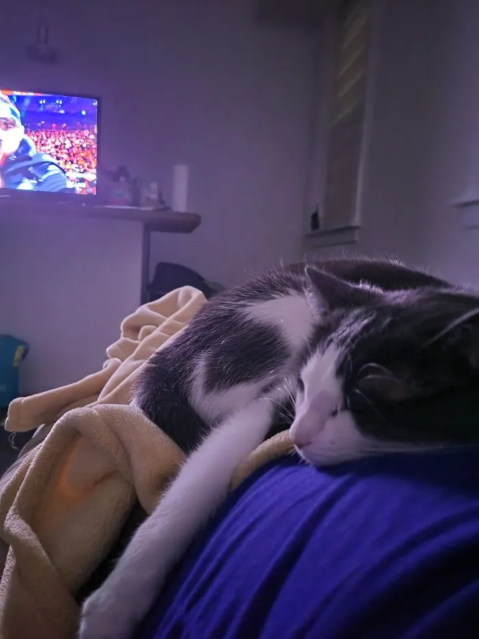 The Miz Put Her To Sleep