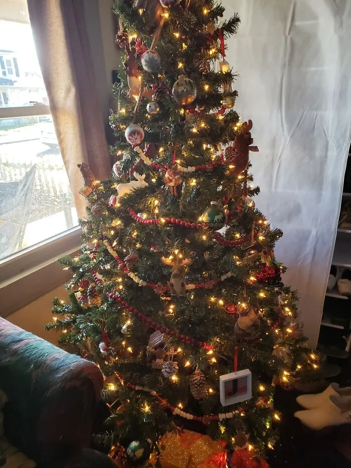 Merry Moosemas!