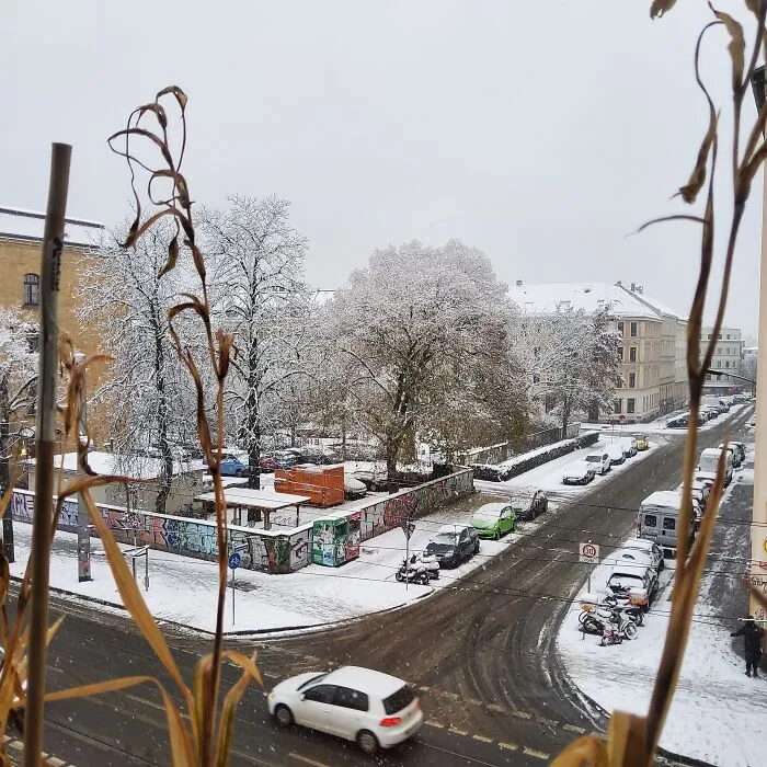 The First Really Recognizable Snow At My Current Place - Maybe Tonight There's Enough For The Snowfight
