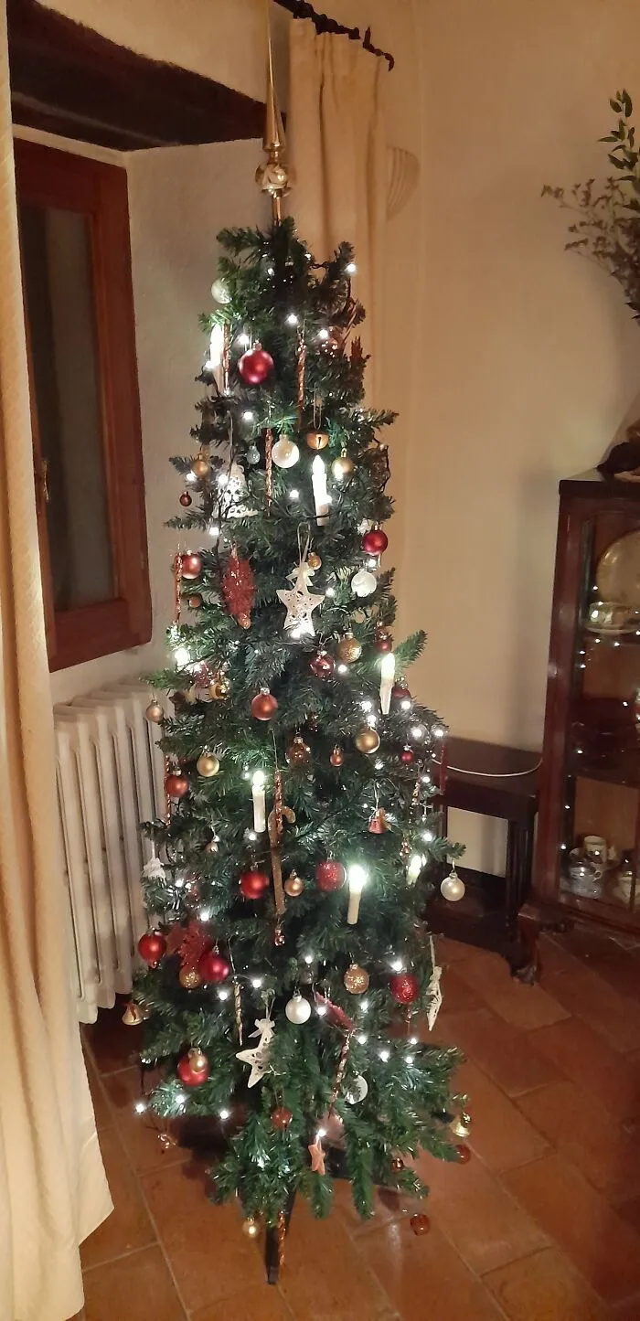 As Of Tonight There Are About 60 Baubles And Various Decorations. Can't Promise There'll Be The Same Number Tomorrow Morning. Meow
