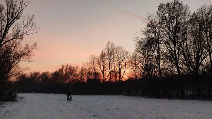 Winter Afternoon In Bavaria, Germany