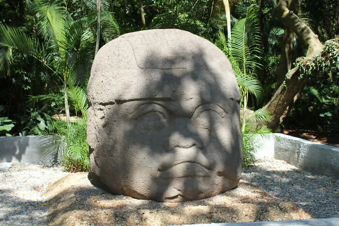 Ancient Olmec stone head artifact in a tropical setting, highlighting important historical information.