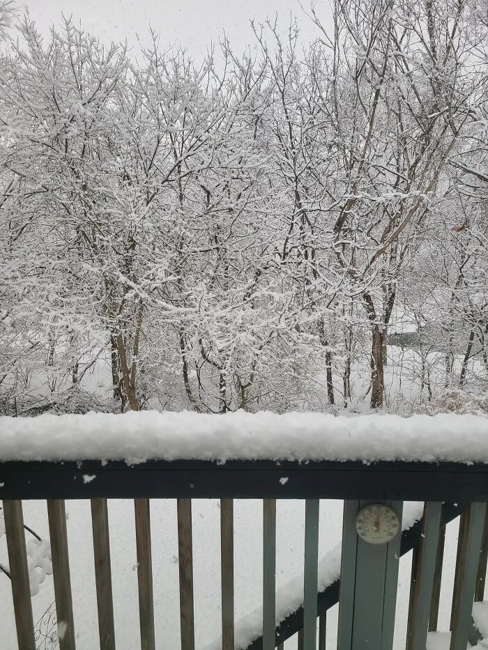 Out The Back Door