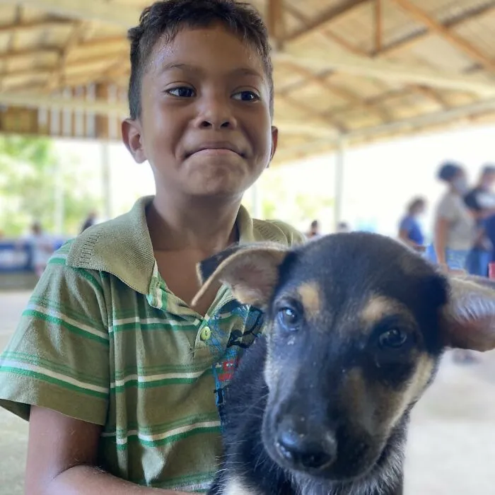 The Most Sincere Love Comes From Animals, And Here Are 60 Heartwarming Pictures Of Homeless People With Their Pets In Brazil (New Pics)