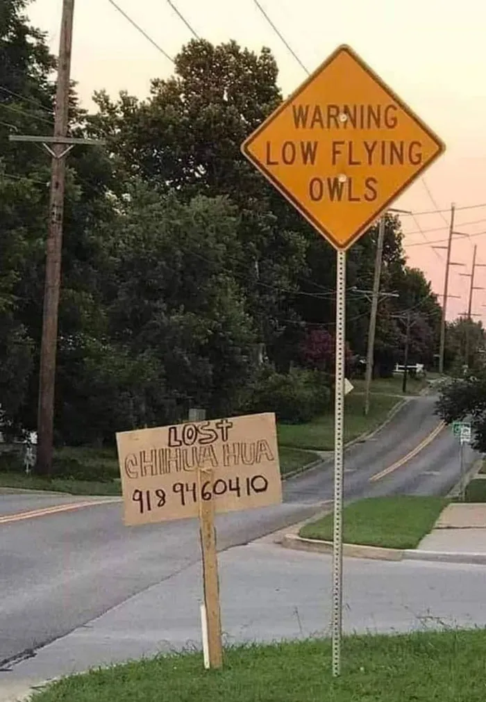 50 Of The Strangest Laugh-Inducing Signs People Spotted In Public, Shared In This Online Group