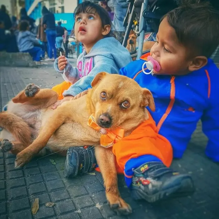 The Most Sincere Love Comes From Animals, And Here Are 60 Heartwarming Pictures Of Homeless People With Their Pets In Brazil (New Pics)