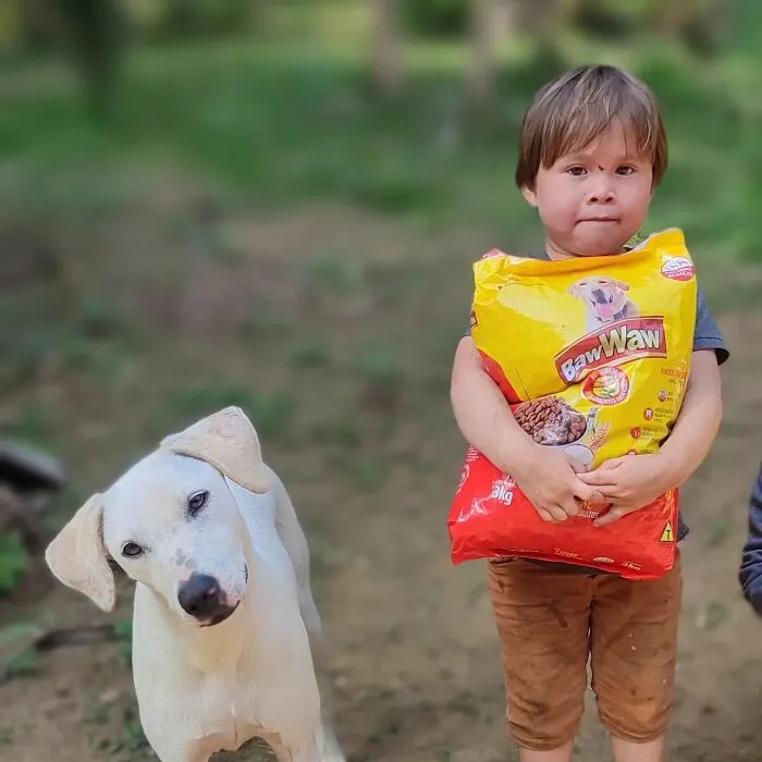 The Most Sincere Love Comes From Animals, And Here Are 60 Heartwarming Pictures Of Homeless People With Their Pets In Brazil (New Pics)