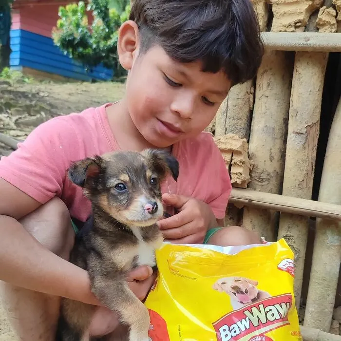The Most Sincere Love Comes From Animals, And Here Are 60 Heartwarming Pictures Of Homeless People With Their Pets In Brazil (New Pics)