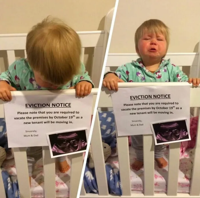 Holesum Eviction