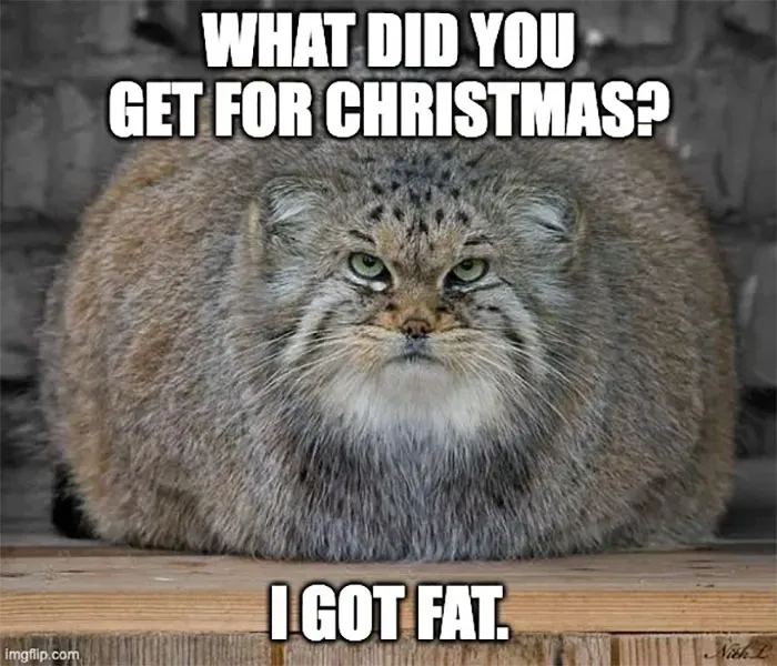 50 Ridiculously-Good Christmas Memes To Get You In A Great Festive Mood (New Pics)