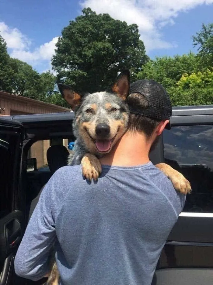 Adopté a este pequeñín ayer. Ha estado en un refugio toda su vida y parece muy feliz de ir a su primer hogar