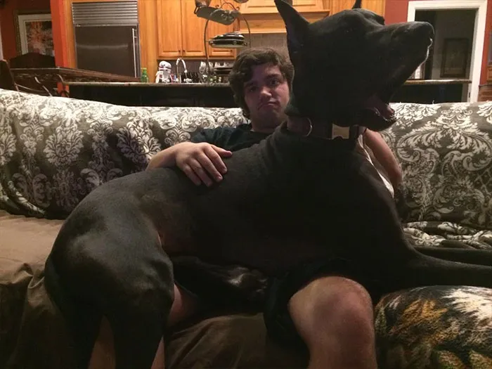 He's Really Just A Big Baby