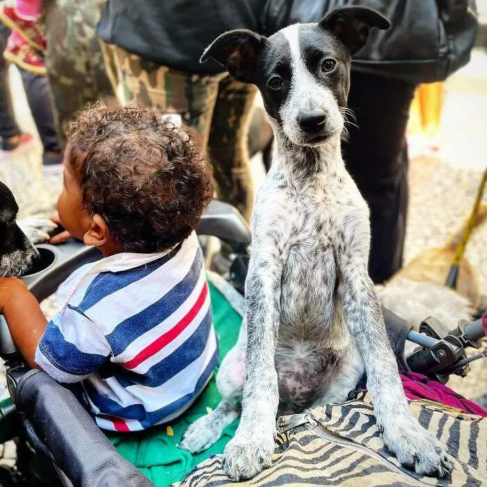 The Most Sincere Love Comes From Animals, And Here Are 60 Heartwarming Pictures Of Homeless People With Their Pets In Brazil (New Pics)