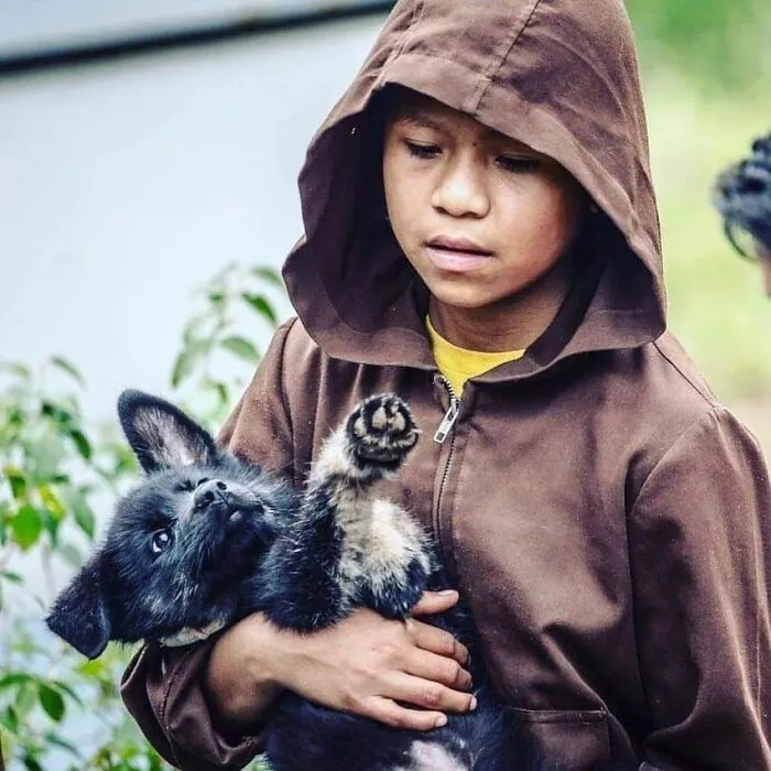 The Most Sincere Love Comes From Animals, And Here Are 60 Heartwarming Pictures Of Homeless People With Their Pets In Brazil (New Pics)