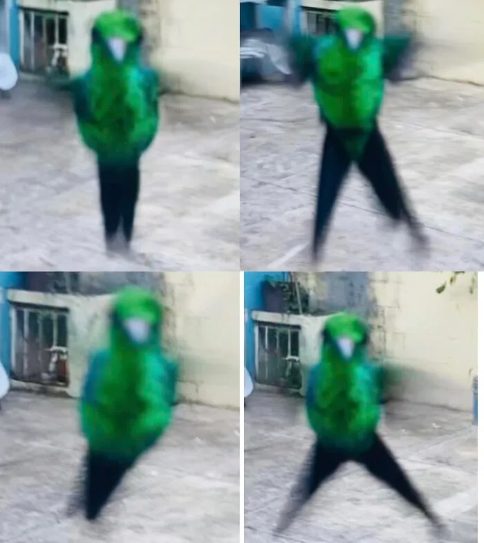 I’ve Made An Important Scientific Discovery. Hummingbirds Aren’t Really Flying In The Air, They Are Doing Jumping Jacks To Stay Up There