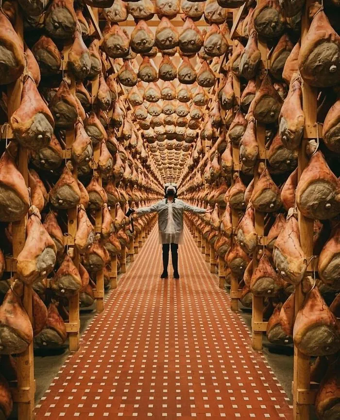 "Accidental Surrealism": 50 Unbelievable Pictures That Make One Do A Double Take (New Pics)