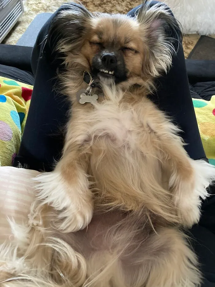 My Sleepy Boy Teddy