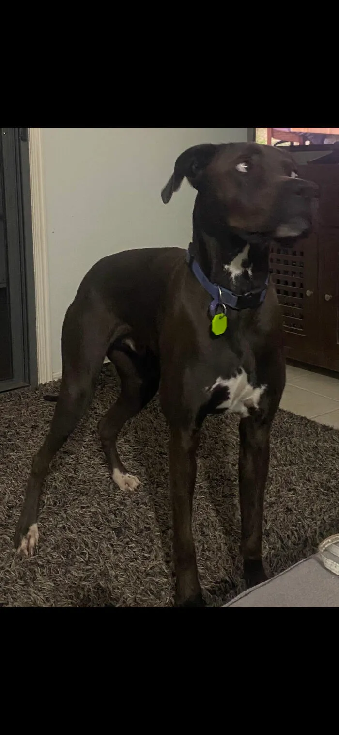 This Is My Boy!