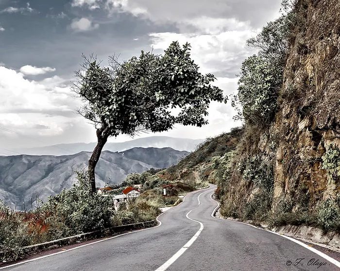 30 Weird Things About Europe That Europeans Don't Realize Are Weird