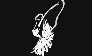 I Draw Ballet To Express My Emotions And Keep Dancing (18 Pics)