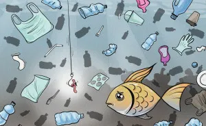 New World - Plastic End (8 Pics)