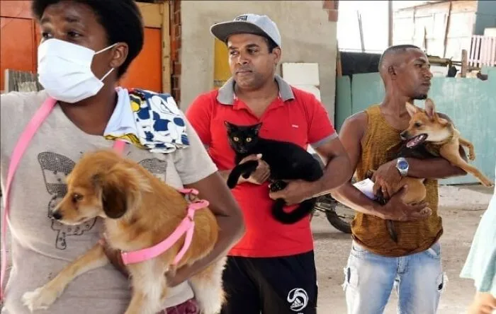 The Most Sincere Love Comes From Animals, And Here Are 60 Heartwarming Pictures Of Homeless People With Their Pets In Brazil (New Pics)