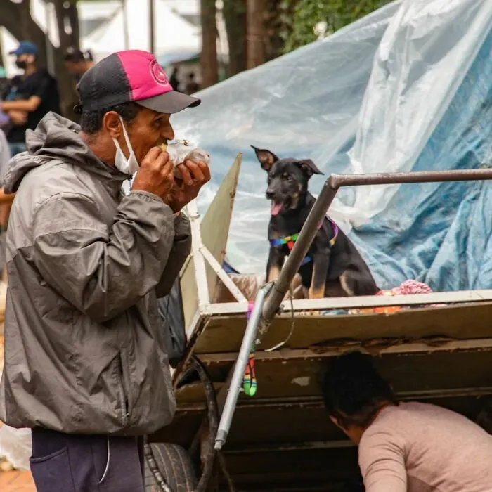 The Most Sincere Love Comes From Animals, And Here Are 60 Heartwarming Pictures Of Homeless People With Their Pets In Brazil (New Pics)