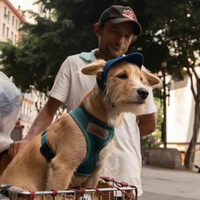 The Most Sincere Love Comes From Animals, And Here Are 60 Heartwarming Pictures Of Homeless People With Their Pets In Brazil (New Pics)