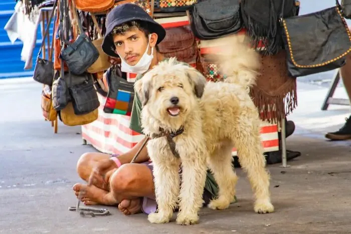 The Most Sincere Love Comes From Animals, And Here Are 60 Heartwarming Pictures Of Homeless People With Their Pets In Brazil (New Pics)