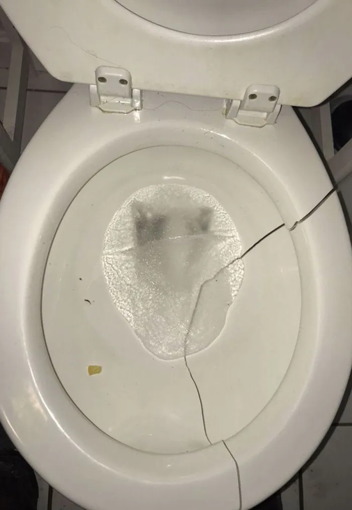This Is How Cold It Is. Keep Your Heater On If You Can