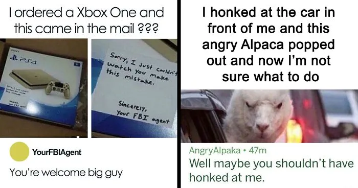 30 Perfectly Timed Moments When A Username Checked Out And It Resulted In Comedy Gold