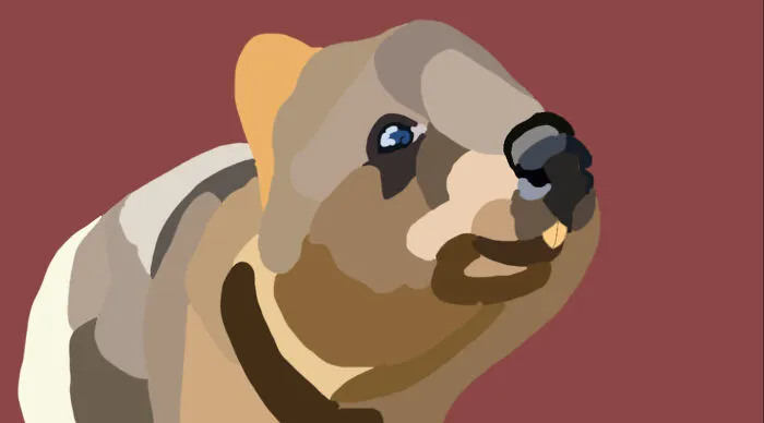 Happy Quokka!