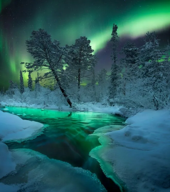 “Magic Night” By Anastasia & Aleksey R