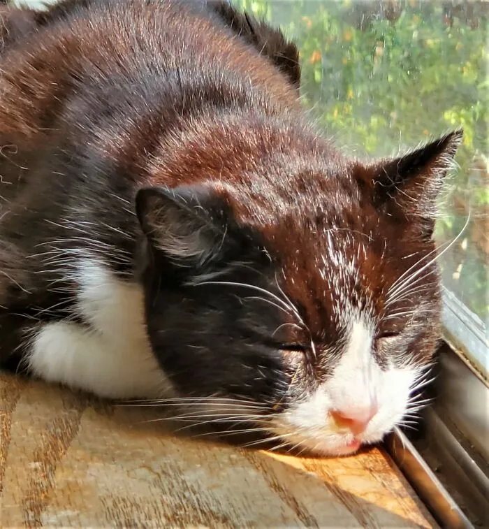 Enjoying The Last Rays Of Summer