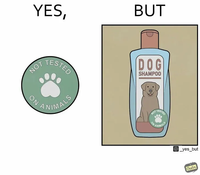 Artist Captures The Irony Of Everyday Moments In 27 “Yes, But” Illustrations (New Pics)