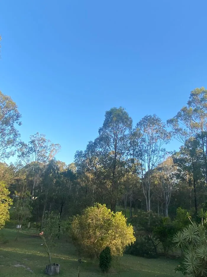 Blue Sky!