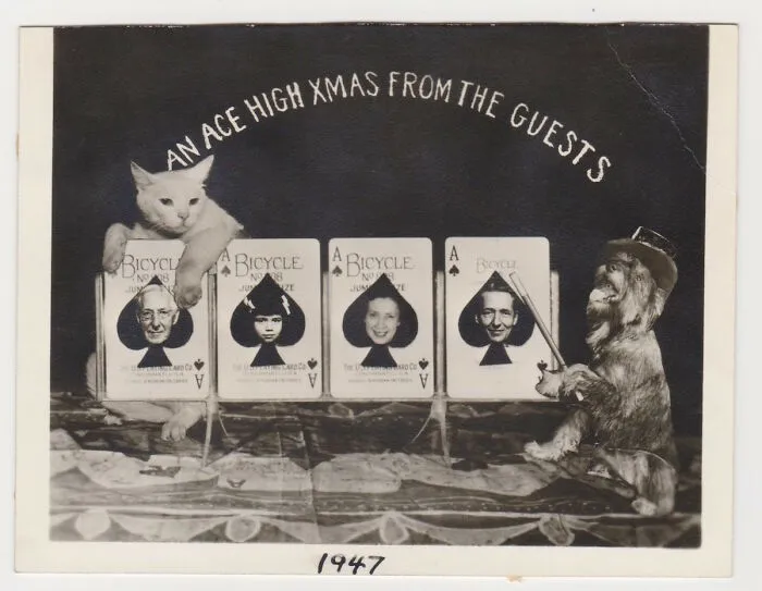 Ace High