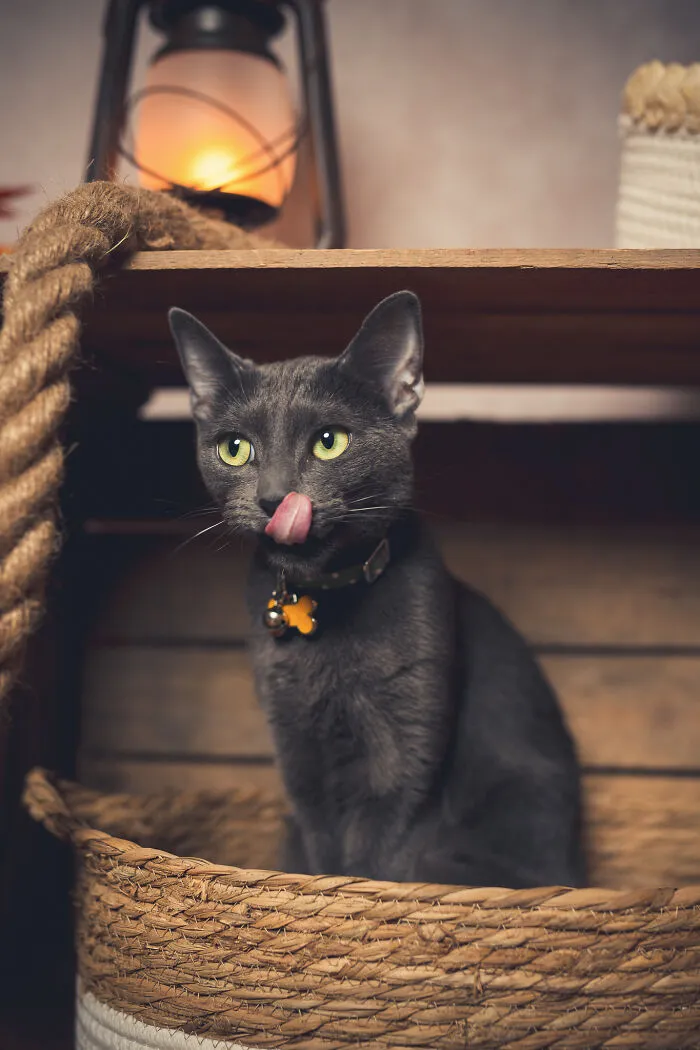 I Am A Professional Pet Photographer, And These Are The Best Shots I Took (25 Pics)
