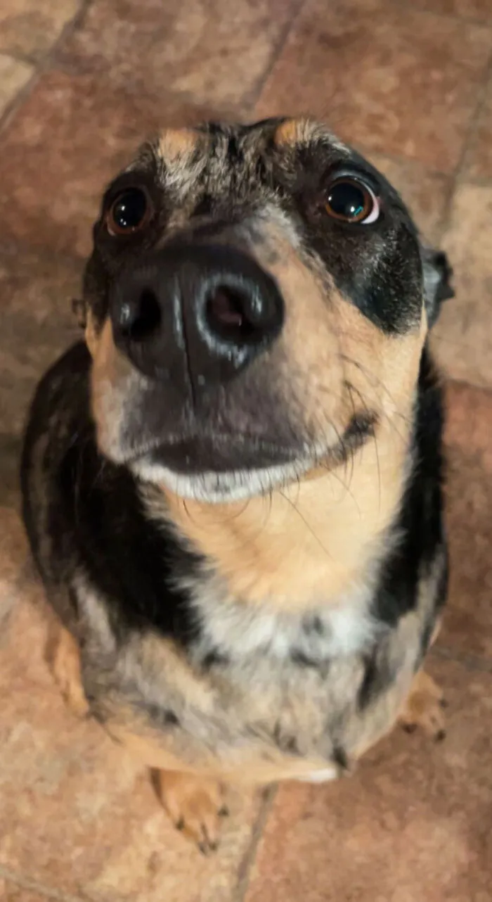 Another Pic Of The Beautiful Kweenie
