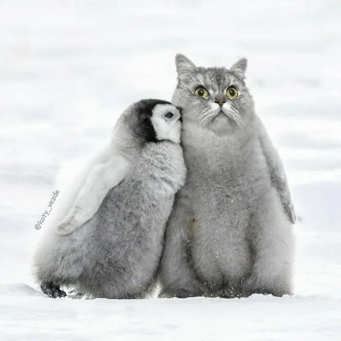 Someone Photoshops Cat Faces Onto Animals And Things, And The Results Are Disturbingly Amusing