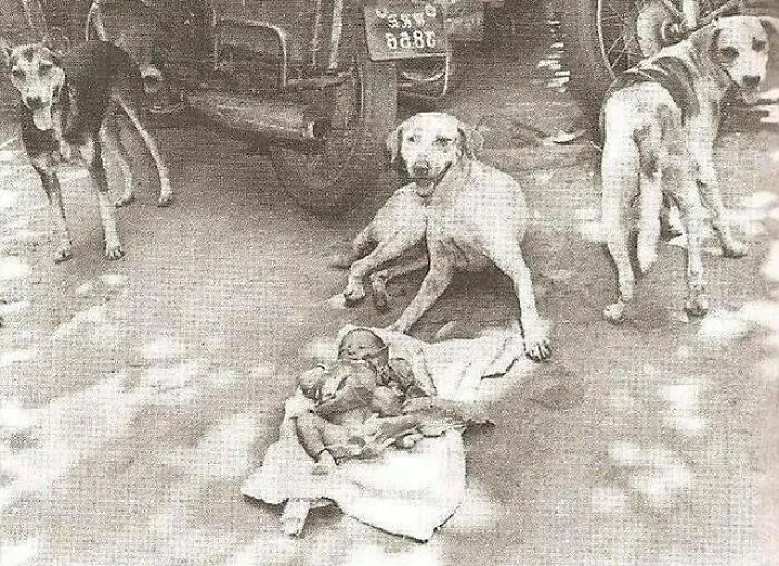 In 1996, A Newborn Baby Girl Was Left In A Garbage Can Near The City Of Kolkata, India