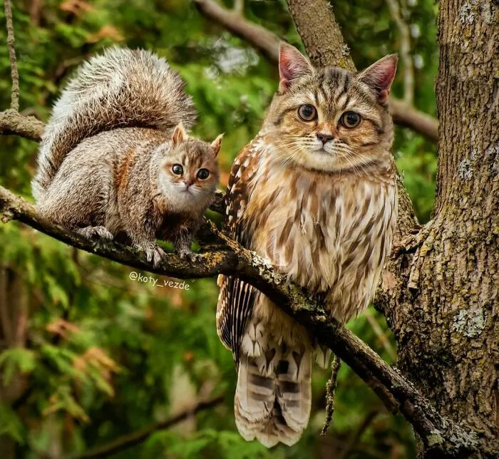 Someone Photoshops Cat Faces Onto Animals And Things, And The Results Are Disturbingly Amusing