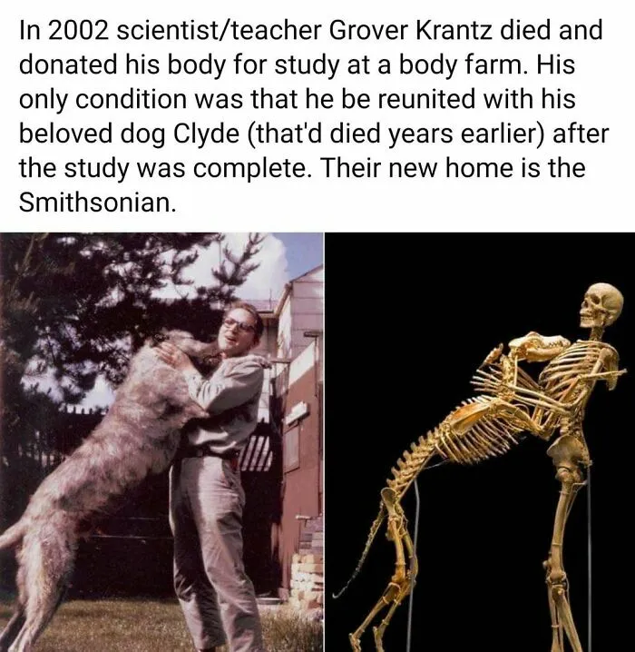 ‘Bad Science Jokes’: 40 Nerdy Posts That Are So Bad, They’re Actually Good (New Pics)